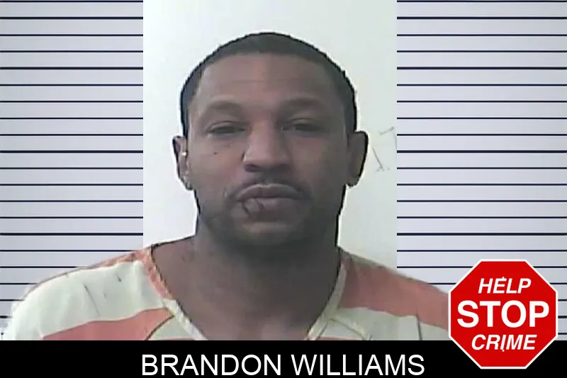 Brandon Williams Mugshots