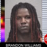 Brandon Williams Mugshots