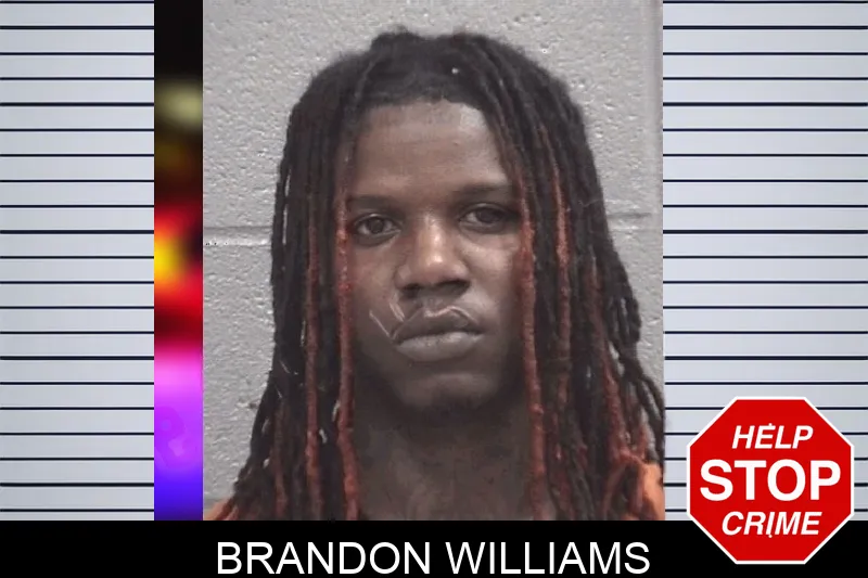 Brandon Williams Mugshots