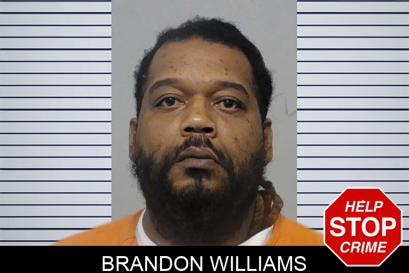 Brandon Williams Mugshots