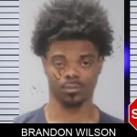 Brandon Wilson Mugshots