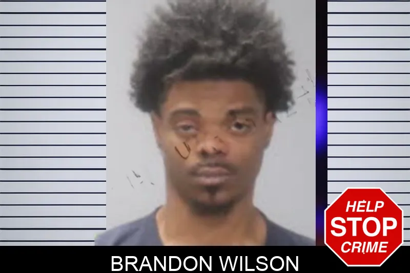 Brandon Wilson Mugshots