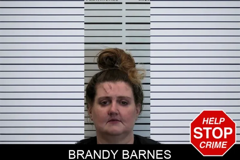 Brandy Barnes