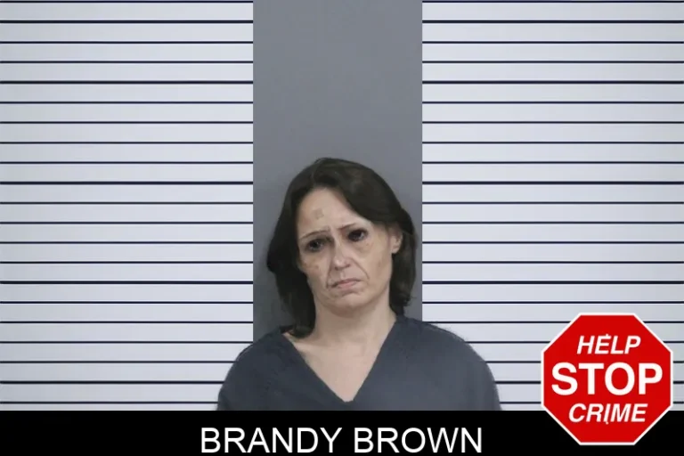 Brandy Brown mugshot – Catoosa County , Georgia Brandy Brown