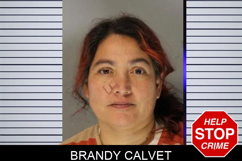 Brandy Calvet Mugshots