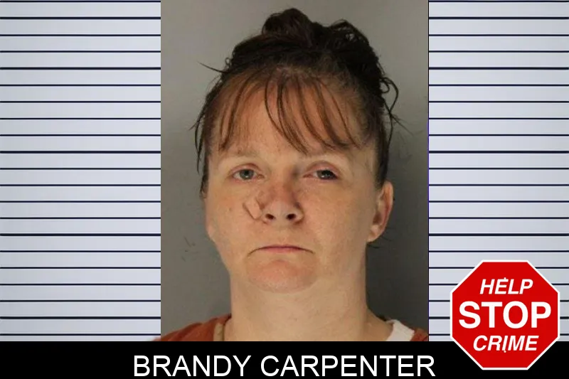 Brandy Carpenter mugshot