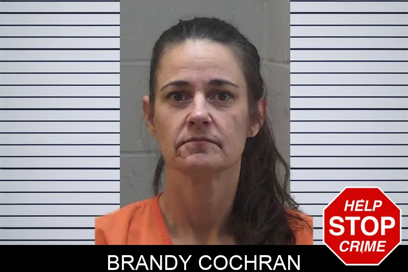 Brandy Cochran Mugshots