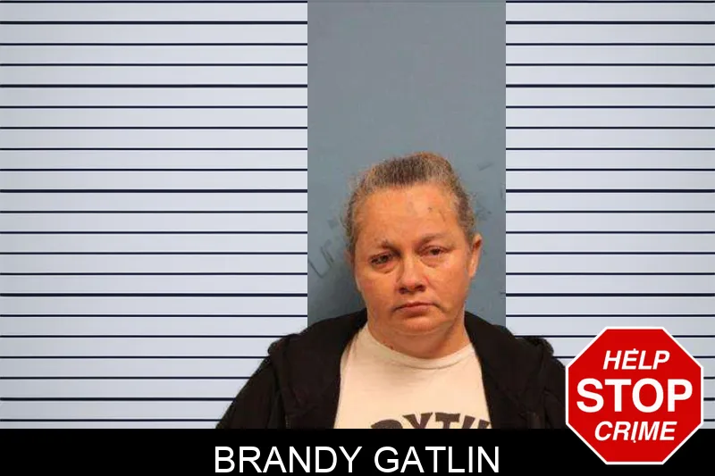 Brandy Gatlin Mugshots