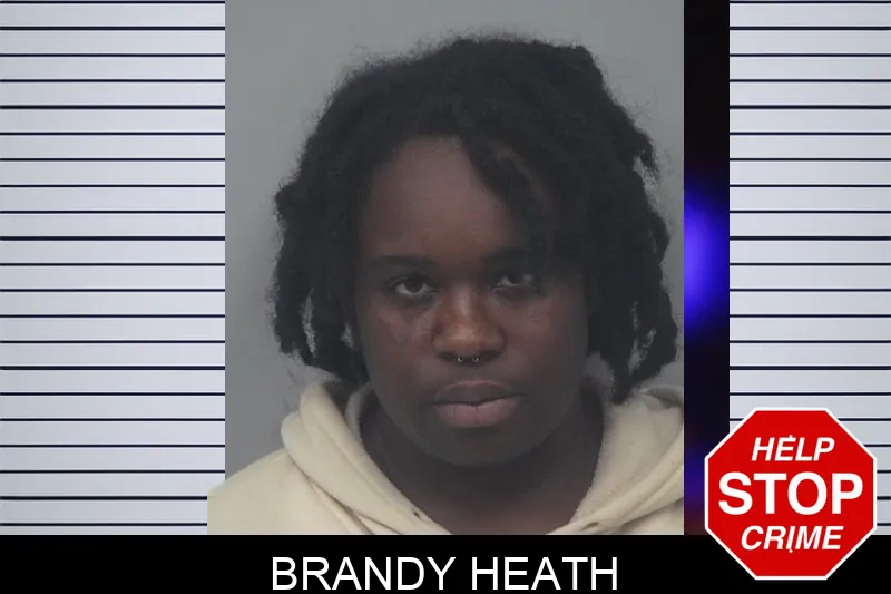 Brandy Heath Mugshots
