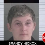 Brandy Hickox Mugshots