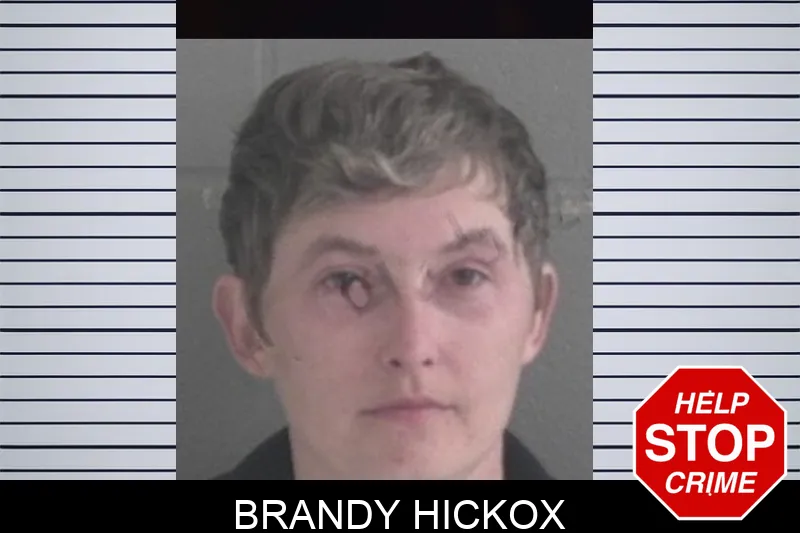Brandy Hickox Mugshots