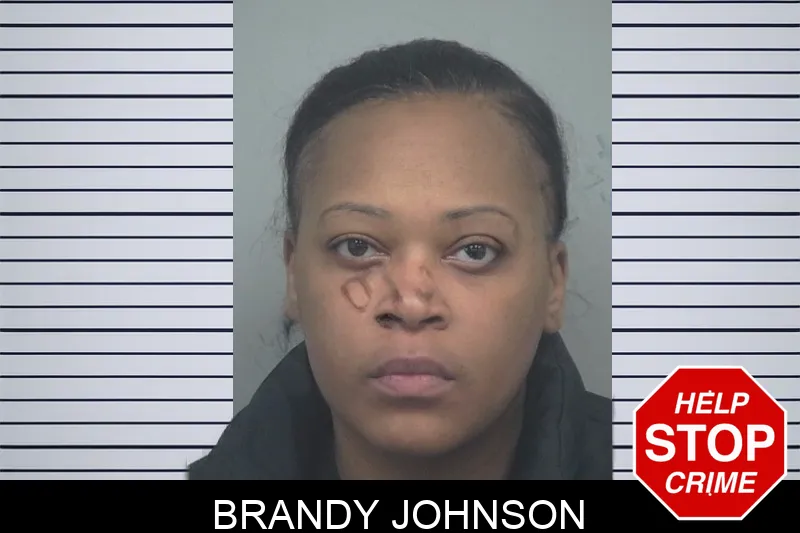 Brandy Johnson mugshot