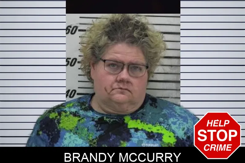 Brandy McCurry Mugshots