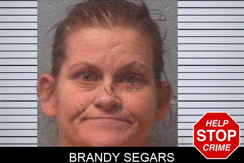 Brandy Segars Mugshots