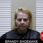 Brandy Shoemake Mugshots