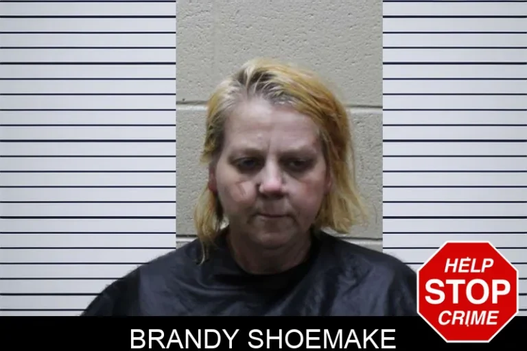 Brandy Shoemake