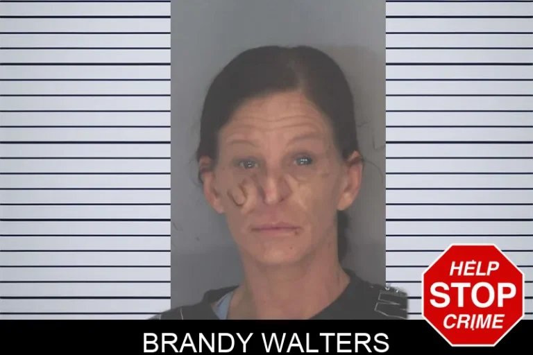 Brandy Walters