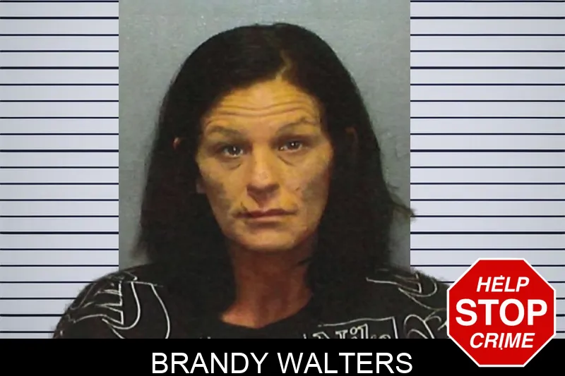 Brandy Walters Mugshots