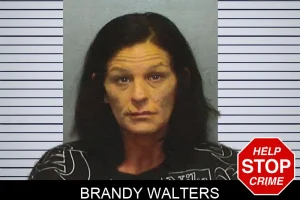 Brandy Walters mugshot