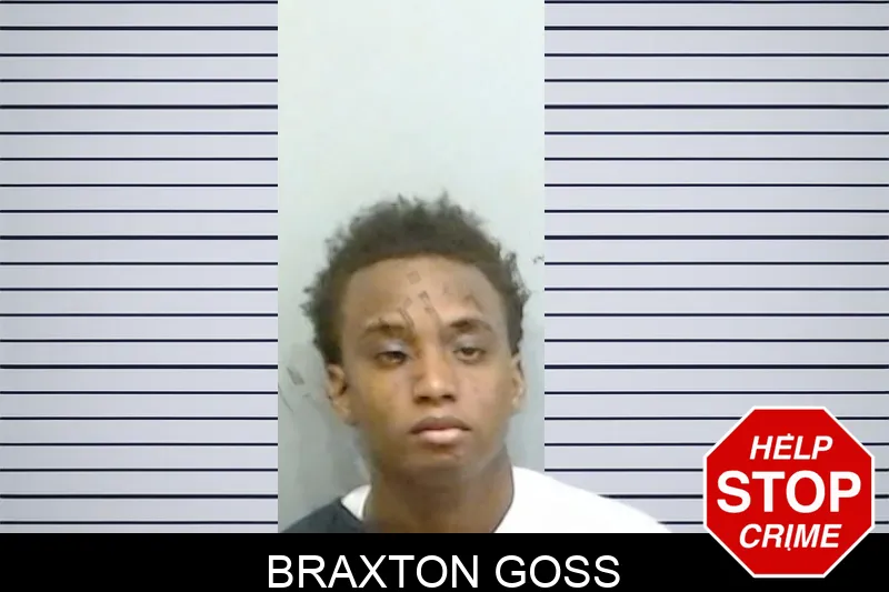 Braxton Goss mugshot