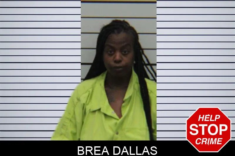 Brea Dallas Mugshots