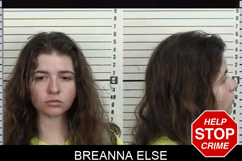 Breanna Else Mugshots