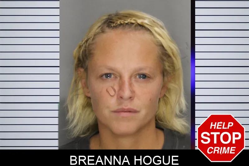 Breanna Hogue Mugshots