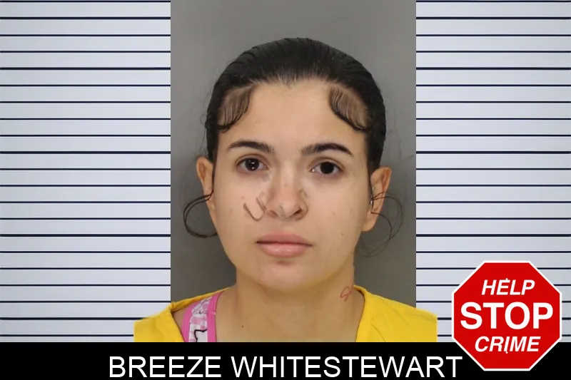 Breeze Whitestewart Mugshots