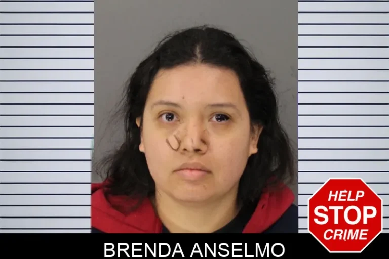 Brenda Anselmo