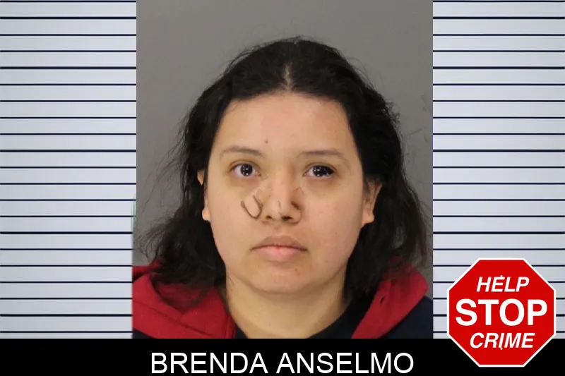 Brenda Anselmo Mugshots