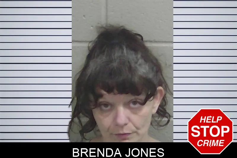 Brenda Jones Mugshots