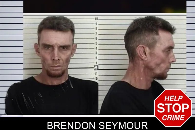 Brendon Seymour Mugshots