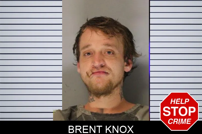 Brent Knox Mugshots