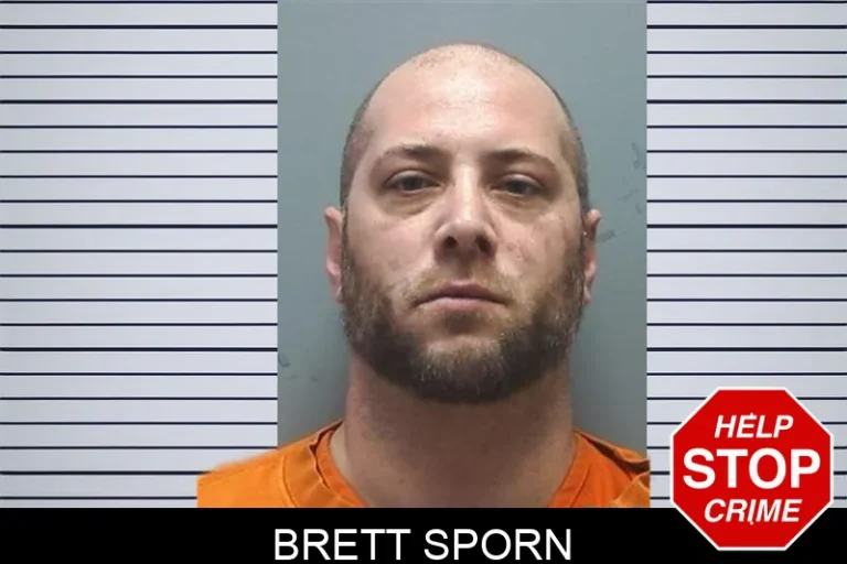 Brett Sporn