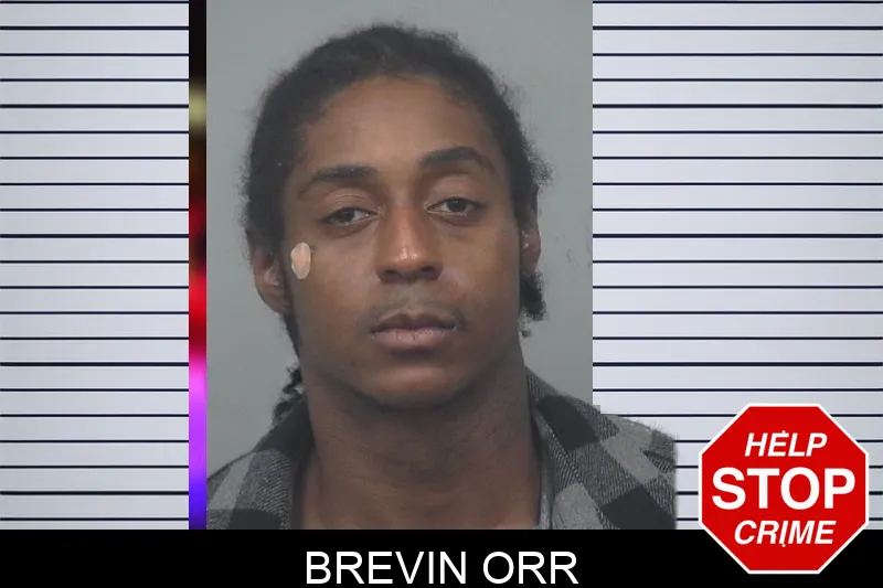 Brevin Orr Mugshots