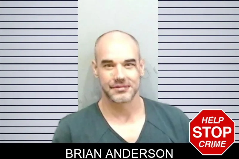 Brian Anderson Mugshots