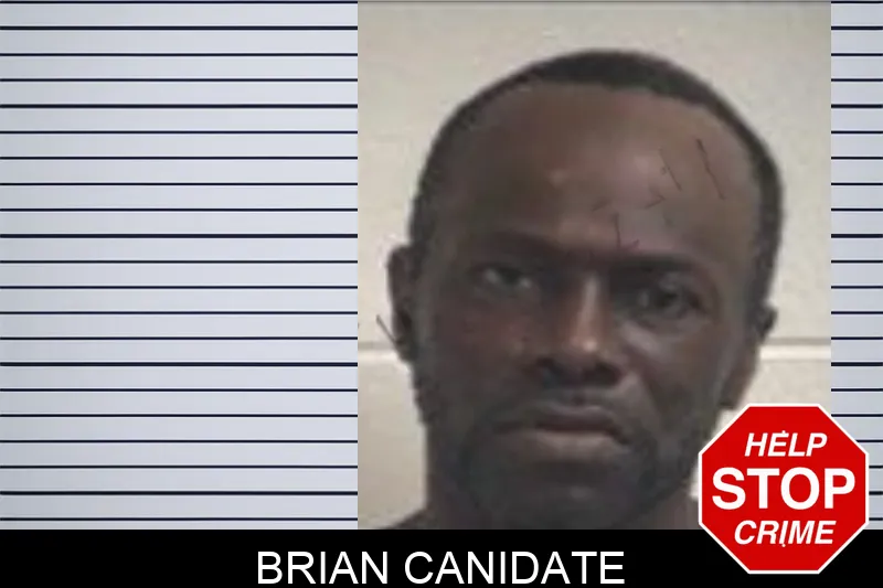 Brian Canidate Mugshots