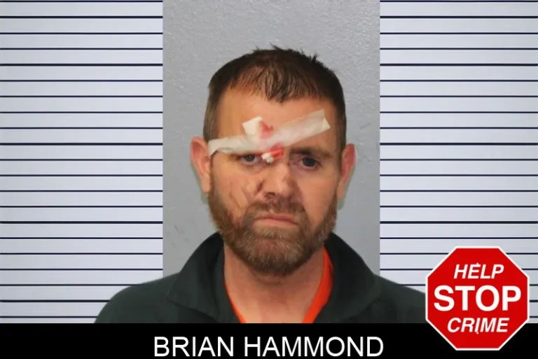 Brian Hammond