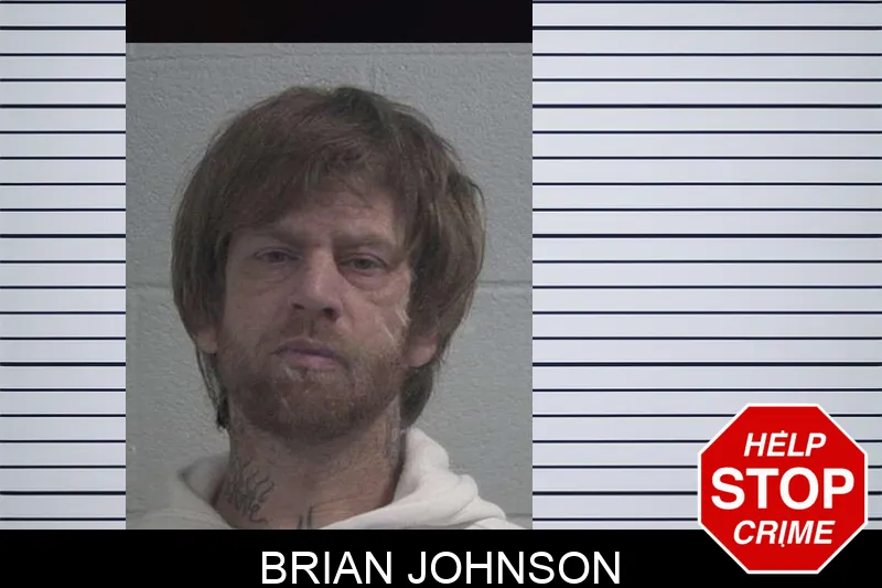 Brian Johnson Mugshots