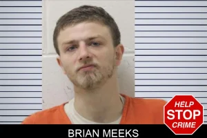 Brian Meeks mugshot