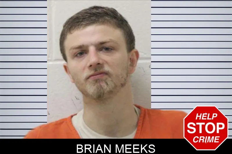 Brian Meeks Mugshots