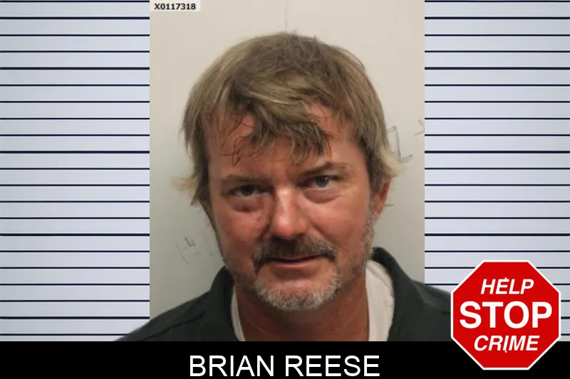 Brian Reese Mugshots