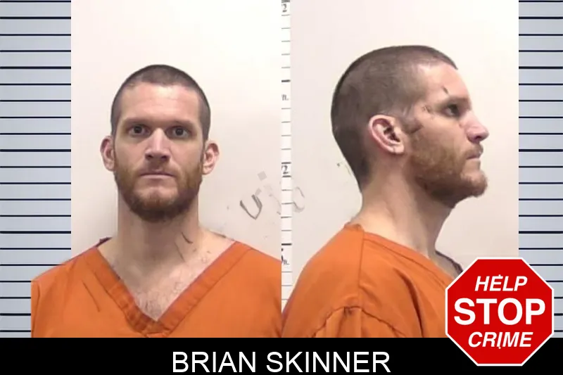 Brian Skinner Mugshots