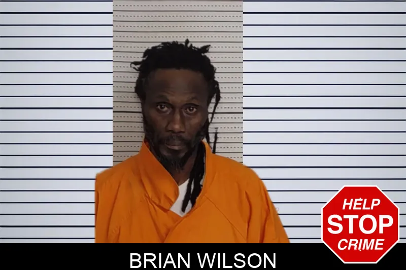 Brian Wilson Mugshots
