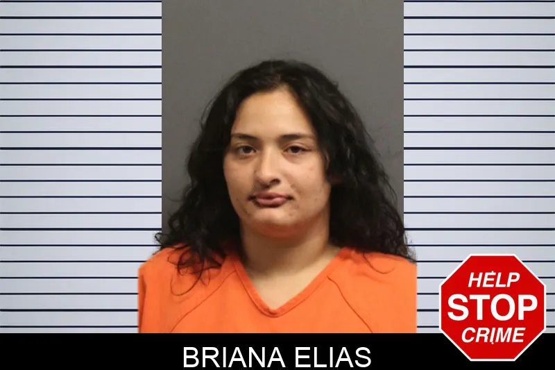 Briana Elias Mugshots