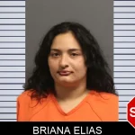 Briana Elias Mugshots