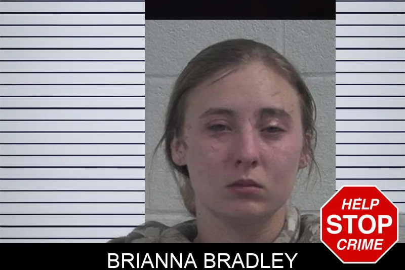 Brianna Bradley Mugshots