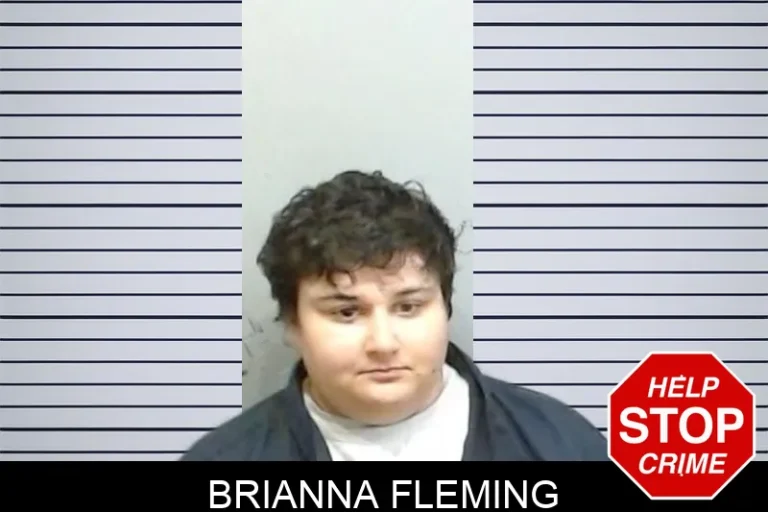 Brianna Fleming mugshot – Fulton County , Georgia Brianna Fleming