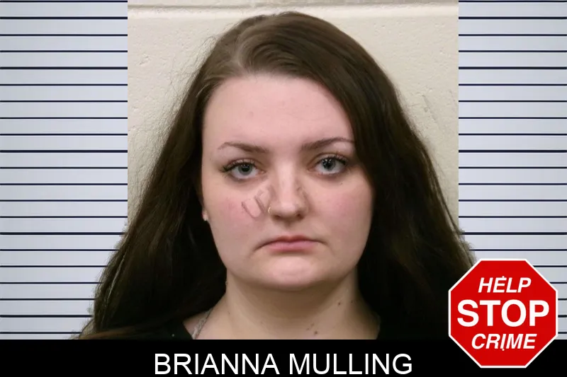 Brianna Mulling Mugshots