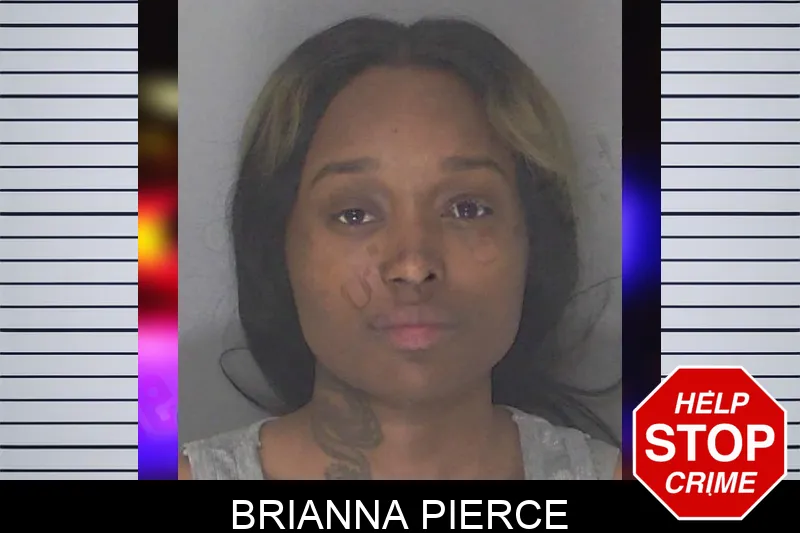 Brianna Pierce Mugshots